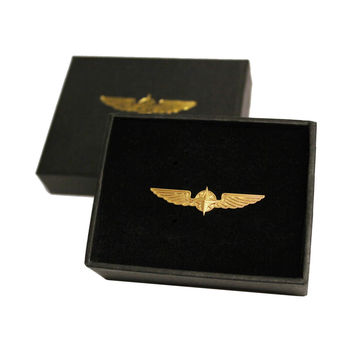 Pilot Wing (5 cm) - Gold